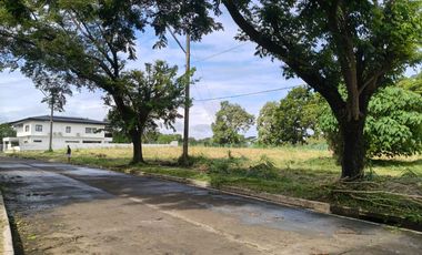 2 Adjoining Fairway lot in Eagle Ridge Golf and country club 50% discount