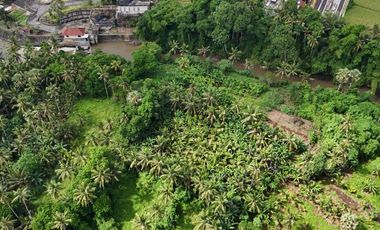 Tanah Dijual- Lokasi Strategis View Jungle Dekat Rs Kasih Ibu Saba Gianyar