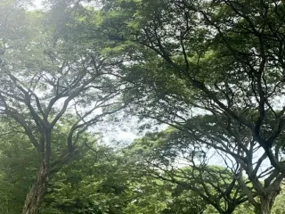 585 sqm Residential Lot for Sale at Promenade Village Sta. Rosa Laguna