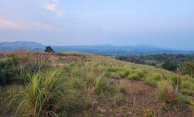 33,525 sqm for sale in Tay-Tay Hills Carmen Bohol Philippines 150/sqm