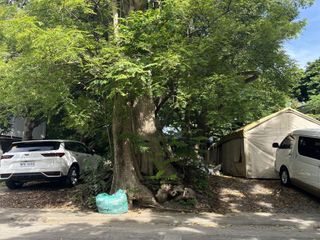 475 sqm Residential Lot for Sale Ayala Alabang Village Muntinlupa City