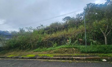 Premium 409 SQM Lot for Your Dream Mountain Home – Pinewoods