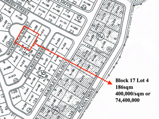 Fire Sale! McKinley Hill Village Lot For sale Taguig City
