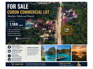 FOR SALE — CORON PALAWAN COMMERCIAL LOT