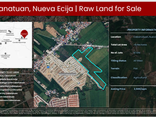 6-HECTARE FLAT LOT FOR SALE | CABANATUAN