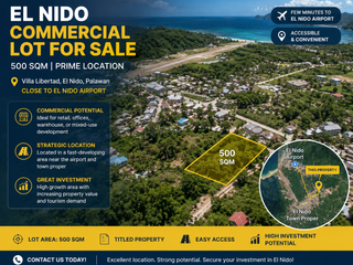 EL NIDO PALAWAN COMMERCIAL LOT FOR SALE NEAR AYALA LIO AIRPORT