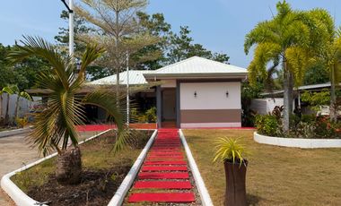 RUSH HOUSE AND LOT FOR SALE IN DAUIS PANGLAO ISLAND OF BOHOL