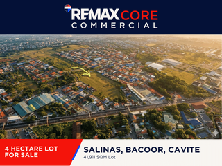 For Sale: 4 Hectare Lot along Aguinaldo Highway in Salinas, Bacoor, Cavite