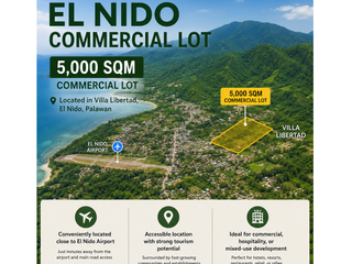 5,000 sqms. EL NIDO COMMERCIAL LOT FOR SALE NEAR LIO-AYALA AIRPORT