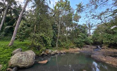Murah tanah los sungai bebatuan kebun manggis dan durian siap panen di bali