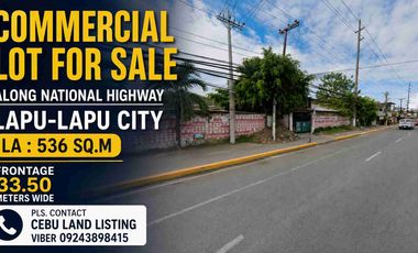 536 SQ.M PRIME COMMERCIAL LOT ALONG ML QUEZON AVENUE MACTAN LAPU-LAPU CITY