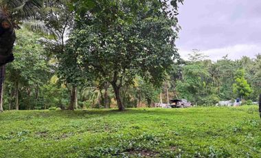 Farm Lot In Dolores Quezon