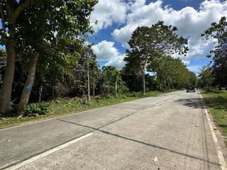 Prime Land for Sale Along National Highway, Daanbantayan, Cebu