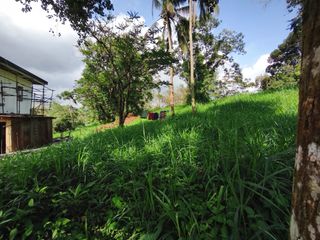 3.8M | 272 sqm Lot in Alfonso, Cavite Along Tagaytay-Nasugbu Road  For Sale - LSS