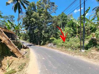 Jual Tanah Pinggir Jalan Tegalang Luas 840m/8.4are Zona Perdangan & Jasa cocok untuk bangunan Komersil.w