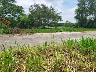 Vacant Lot For Sale In Manila Southwoods Residential Estate