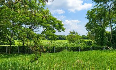 475 Sqm Golf Facing Residential Lot For Sale In Manila Southwoods Phase 3