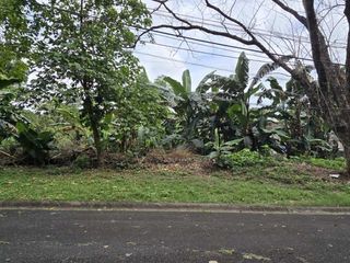Residential Property for Sale La Vista Quezon City 2400 sqm