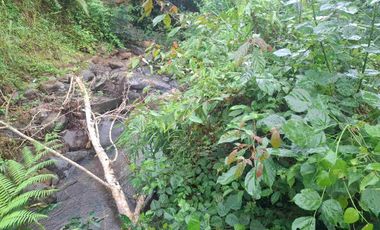 tanah kebun kopi dijual dengan view sawah dan los sungai kecil berbatu lokasi sangat strategis berada dekat dengan kawasan wisata di penebel
