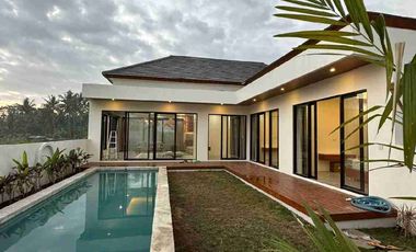 new brand villa lovina singaraja