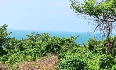 Talibeach Drive Corner Outlook Drive lot with great seaview