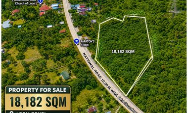 OVERLOOKING LOT FOR SALE LOCATED IN SONG-ON, LOON, BOHOL