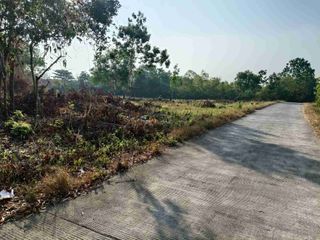 3000sqm clean title lot in Songculan Dauis Panglao Bohol 3500 per sqm