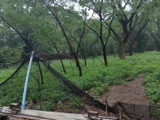 1.2 Hectare Farm Agricultural Land  in Sitio Abuyod Antipolo along Main Road