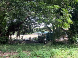 Lot for Sale in Ayala Alabang Village Muntinlupa City ₱95M