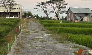 DIJUAL TANAH STRATEGIS 12 ARE DI SESEH, BADUNG