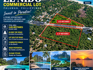 FOR SALE COMMERCIAL PROPERTY IN EL NIDO, PALAWAN
