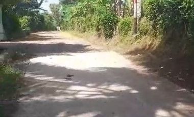 2,06 Ha Tanah Kebun Datar dan Subur Cisomang Barat, Cikalong Wetan, Bandung Barat