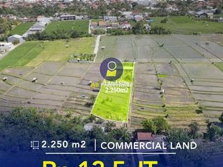 TANAH PREMIUM DISEWAKAN – JL. RAYA KEDAMPANG, KEROBOKAN