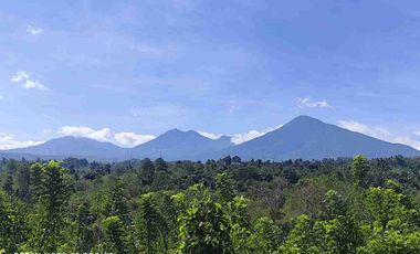 tanah kebun kopi dijual murah yang berlokasi di pupuan tabanan bali kontur datar  melandai dengan view gunung dan lembah lokasi sangat ideal untuk perkebunan