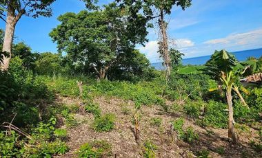 OVERLOOKING SEAVIEW LOT FOR SALE IN GUINDULMAN, BOHOL
