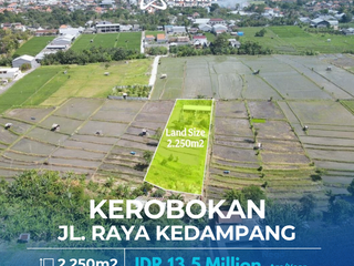 ✨ PREMIUM LAND FOR LEASE – RICE FIELD VIEW, KEROBOKAN BALI ✨