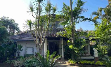 tanah bonus bangunan jalan batu bolong Canggu bali