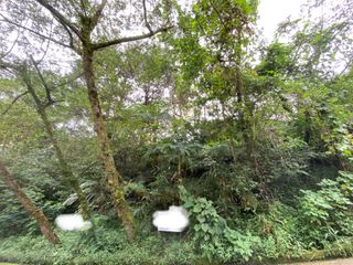 For Sale | 259 sqm Titled Lot in Irisville, Baguio City - LSS