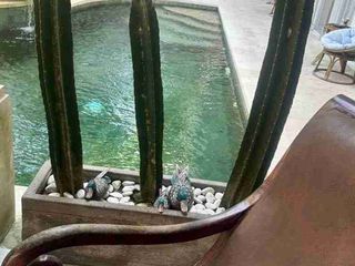 guest house batursari sanur bali
