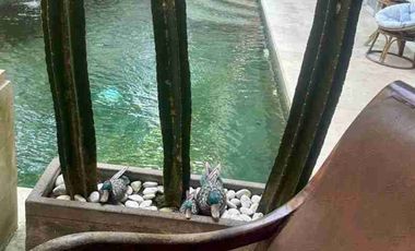 guest house batursari sanur bali