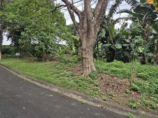 Residential Land for Sale in La Vista Quezon City 2,400 sqm