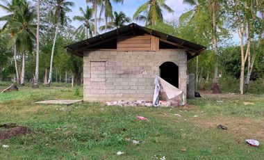 HOUSE & LOT FOR RUSH SALE — SAMAL ISLAND