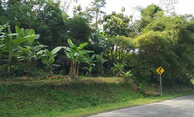 LELANG Tanah pinggir jln propinsi sumedang sukahayu