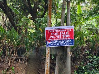 For Sale! 26, 795 SQM Agricultural Land in Pililla, Rizal
