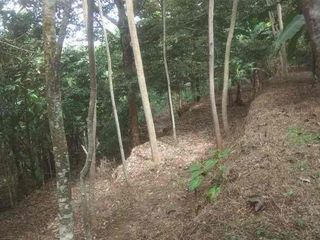 DIJUAL TANAH KEBUN DI MAYANG PANCUR JEPARA KAWASAN AGROWISATA