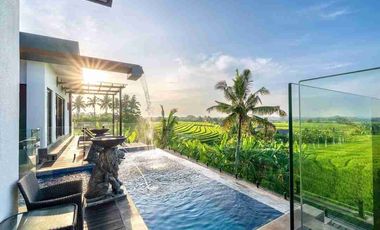 Villa Tepi Sawah Selemadeg Timur Tabanan Bali