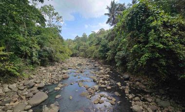Murah tanah los sungai view sawah di tabanan bali