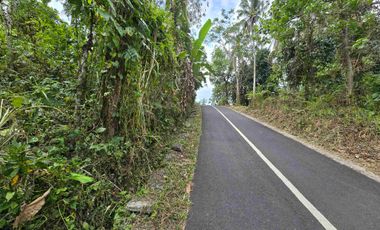 Tanah kebun durian manggis lagi BUC DI TABANAN BALI