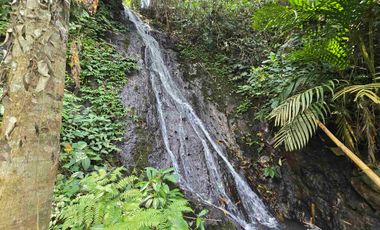 Air terjun dan los sungai murah kebun durian dan manggis view sawah los sungai di tabanan bali