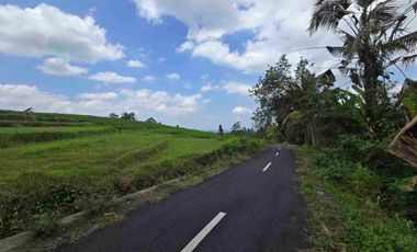 Dijual tanah kosong view laut lembah dan sawah terasering di tabanan bali